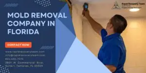How a Mold Removal Company in Florida Can Save Your Home from Damage