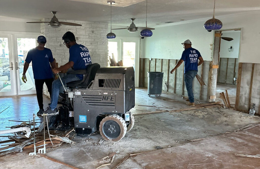mold remediation company in Florida