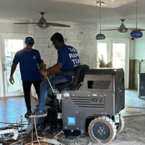 How Quickly Does Mold Grow and How Much Does It Cost to Get Mold Removed