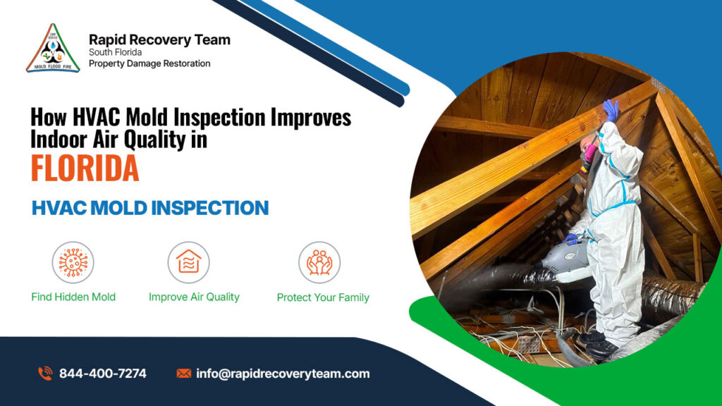 How HVAC Mold Inspection Improves Indoor Air Quality in Florida