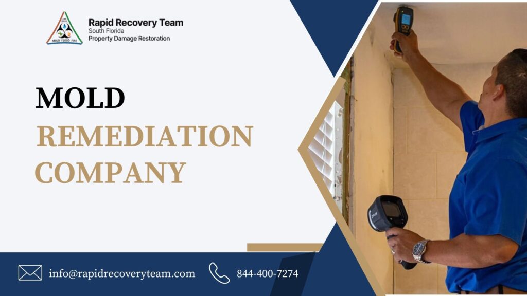 Why Hiring a Professional Mold Remediation Company Florida Is Essential